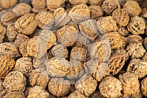 A bunch of walnuts